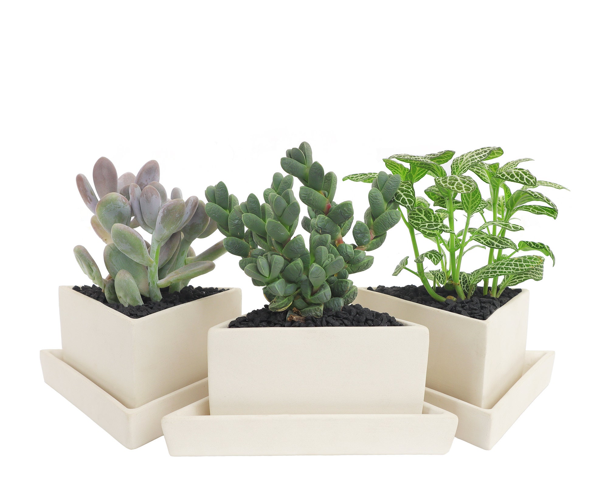 Succulent Pots with Ceramic Trays Drainage Holes. Multiuse Etsy
