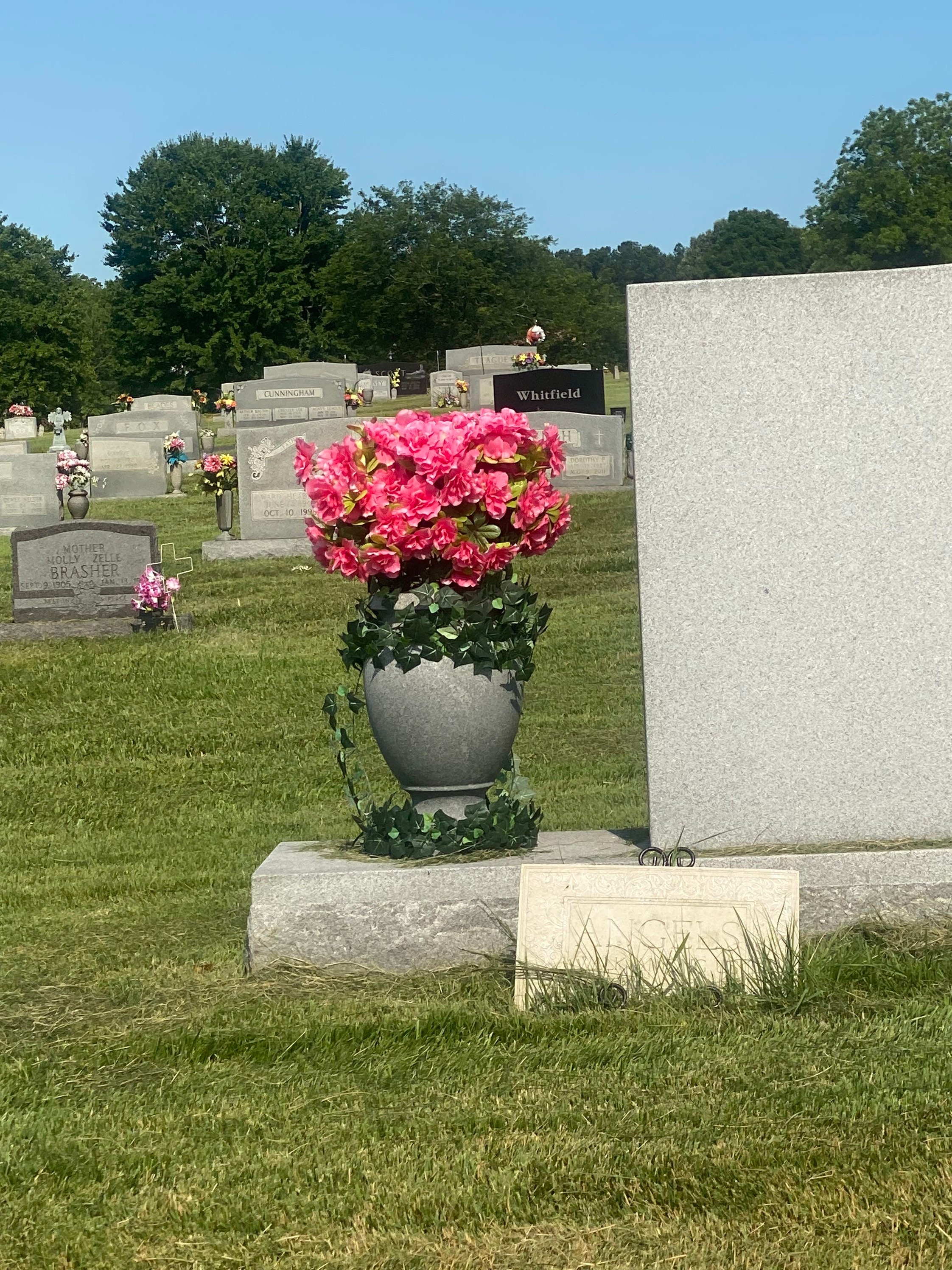 Graveside Flowers Uk at Steven Smith blog