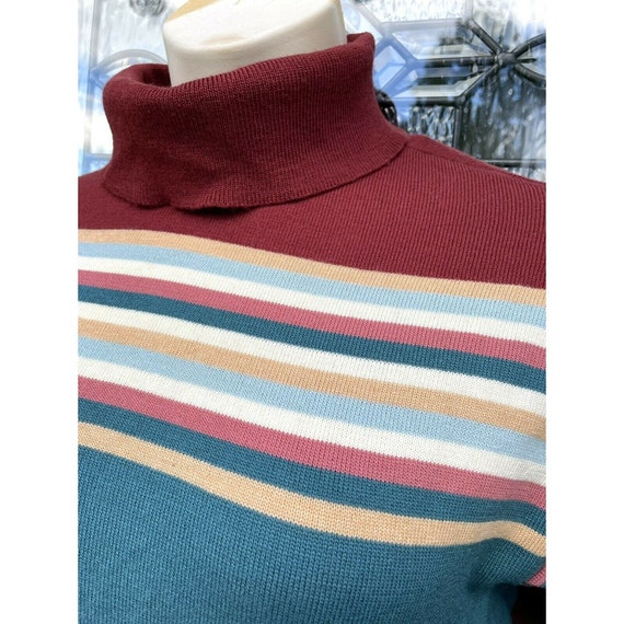 Vtg 70s Castleberry Knit Wool Dress Turtleneck St… - image 5