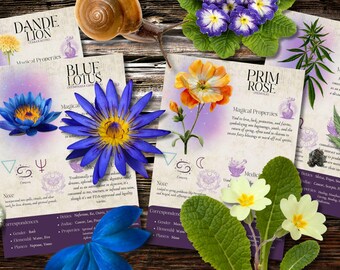 Book of Shadows, Printable pages of Divination Herbs. Set #4