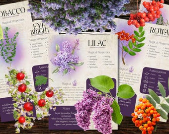 Style 2 | Book of Shadows, Printable pages of Divination Herbs. Set #3