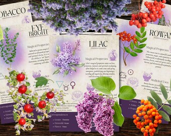 Book of Shadows, Printable pages of Divination Herbs. Set #3