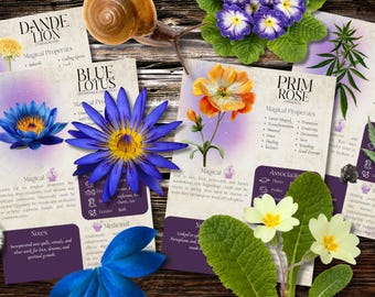 Style 2 | Book of Shadows, Printable pages of Divination Herbs. Set #4