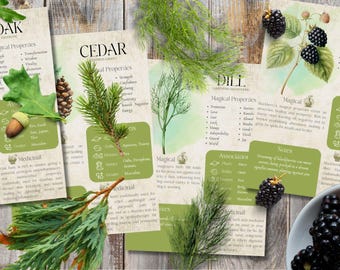 Style 2 | Book of Shadows, Printable pages of Abundance and Success Herbs. Set #2