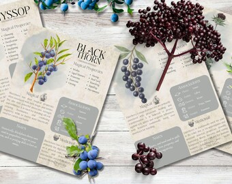 Style 2 | Book of Shadows, Printable pages of Baneful Herbs. Set #4