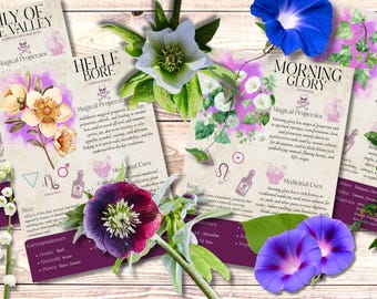 Book of Shadows, Printable pages of Poisonous Herbs. Set #3