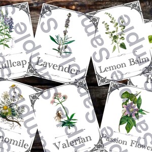 May include: A set of 8 white cards with black borders and illustrations of different herbs. The cards are labeled with the names of the herbs: Skullcap, Lavender, Lemon Balm, Kava, Chamomile, Valerian, Passion Flower.