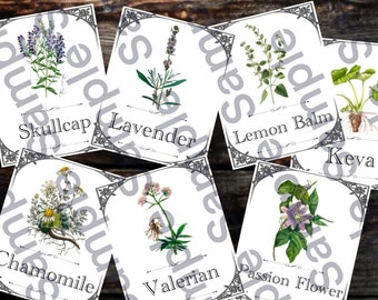 Sedative Apothecary Label Set 1