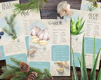 Style 2 | Book of Shadows, Printable pages of Protective Nonherbs. Set #4