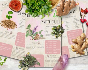 Style 2 | Book of Shadows, Printable pages of Glamour Herbs. Set #3