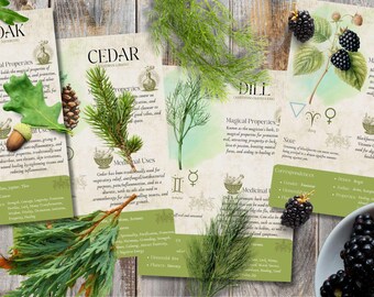 Book of Shadows, Printable pages of Abundance and Success Herbs. Set #2