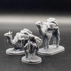 Traveling Merchant, Cartographer, Wizard, Sorcerer, Warlock, Merchant with Camels