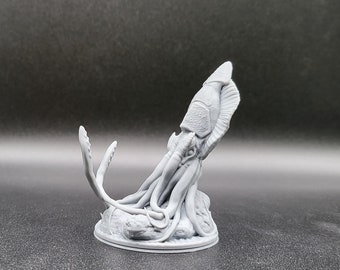Giant Squid, Massive Squid, Huge Squid, Kraken, Colassal Squid