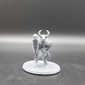 Minotaur, Minotaur Barbarian, Minotaur Fighter