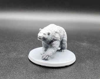 Bear, Polar Bear, Grizzly Bear, Wildshape, Bear Companion, Bear Mount