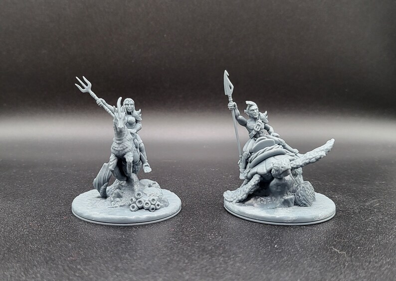 Elven Riders, Elven Knights, Mounted, Giant Turtle, Hippocampus, Sea ...