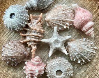 SEASHELL SOAP SET- 10 pieces