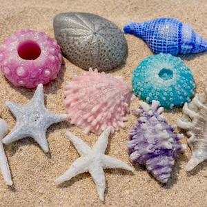 貝殻石鹸セット - 10個入り - 海岸ギフトセット - ビーチハウスギフト石鹸