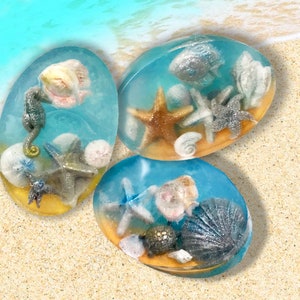 Meeresseife mit Muscheln
