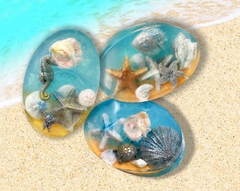 Ocean soap with seashells