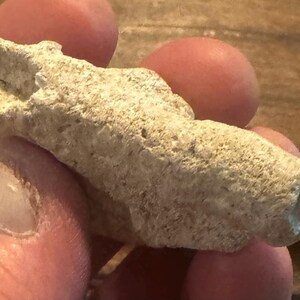 Pode incluir: Uma rocha fossilizada bege clara com uma superfície texturizada. A rocha tem uma forma cilíndrica com um buraco numa extremidade. O objeto é segurado em uma mão.