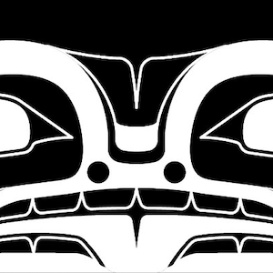 Medeek Car Sticker (White Vinyl - 30&quot;)