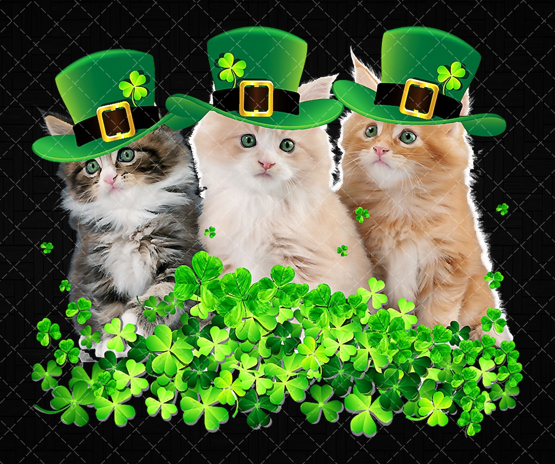 Three Cat St Patricks Day Png Kitty Kitten Lover Irish PNG Etsy