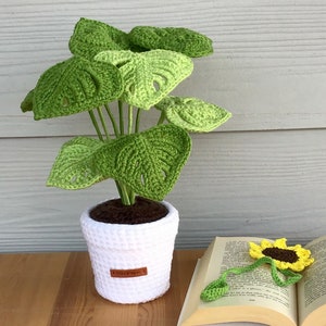 Monstera Plant in pot (small) handmade gift, home office caravan decor