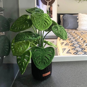 Monstera Plant (Medium)  |  Crochet  |  MADE TO ORDER | plants for decoration | caravan decor