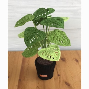 May include: A crocheted monstera plant featuring multiple heart-shaped leaves in varying shades of green, including dark and light tones. The plant is potted in a black crocheted container with a small rectangular brown tag attached to the front.