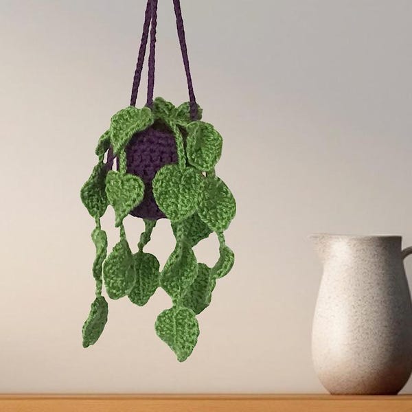 Mini hanging pothos plant |  home  office caravan decor gift idea