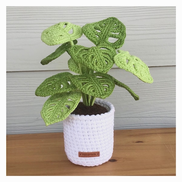 Monstera Plant (Small)  |  Crochet  |  MADE TO ORDER | Plant for Decoration | Caravan Decor