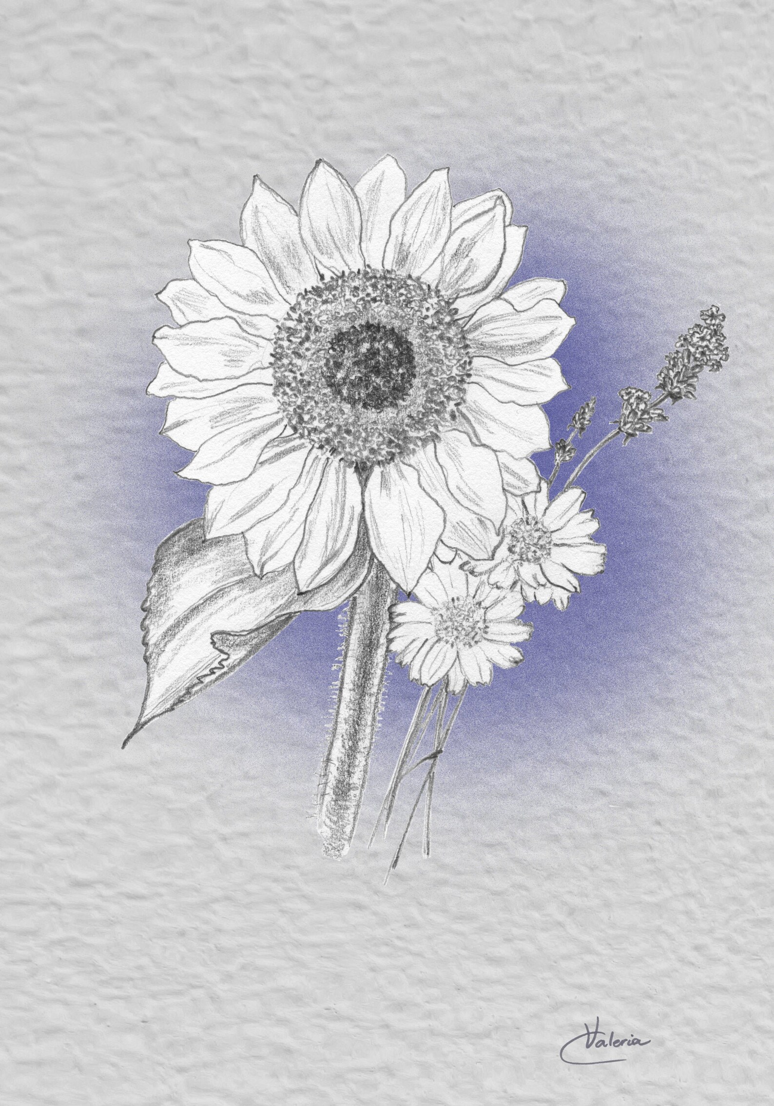 Sunflower, Daisy and Lavender Flowers Canvas Print, Wall Art, Botanical