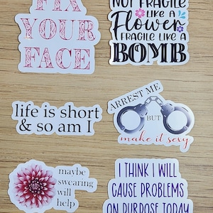 Funny Saying Vinyl Stickers – Hilarious Quote Decals for Laptops, Water Bottles, Journals – Buy Individually or Full Set