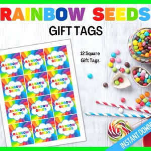 Rainbow Seeds Tag, Rainbow Seeds Gift Tags, Rainbow Seeds Cards, Printable Rainbow Square Tag, St Patrick's Day Gift Tags, St Paddy's Seeds image 2