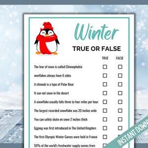Winter True of False, Fun Wintertime Games, Winter Party Game, Wintertime Activity, Cold Weather Fun Game for Kids, Teens and Adults