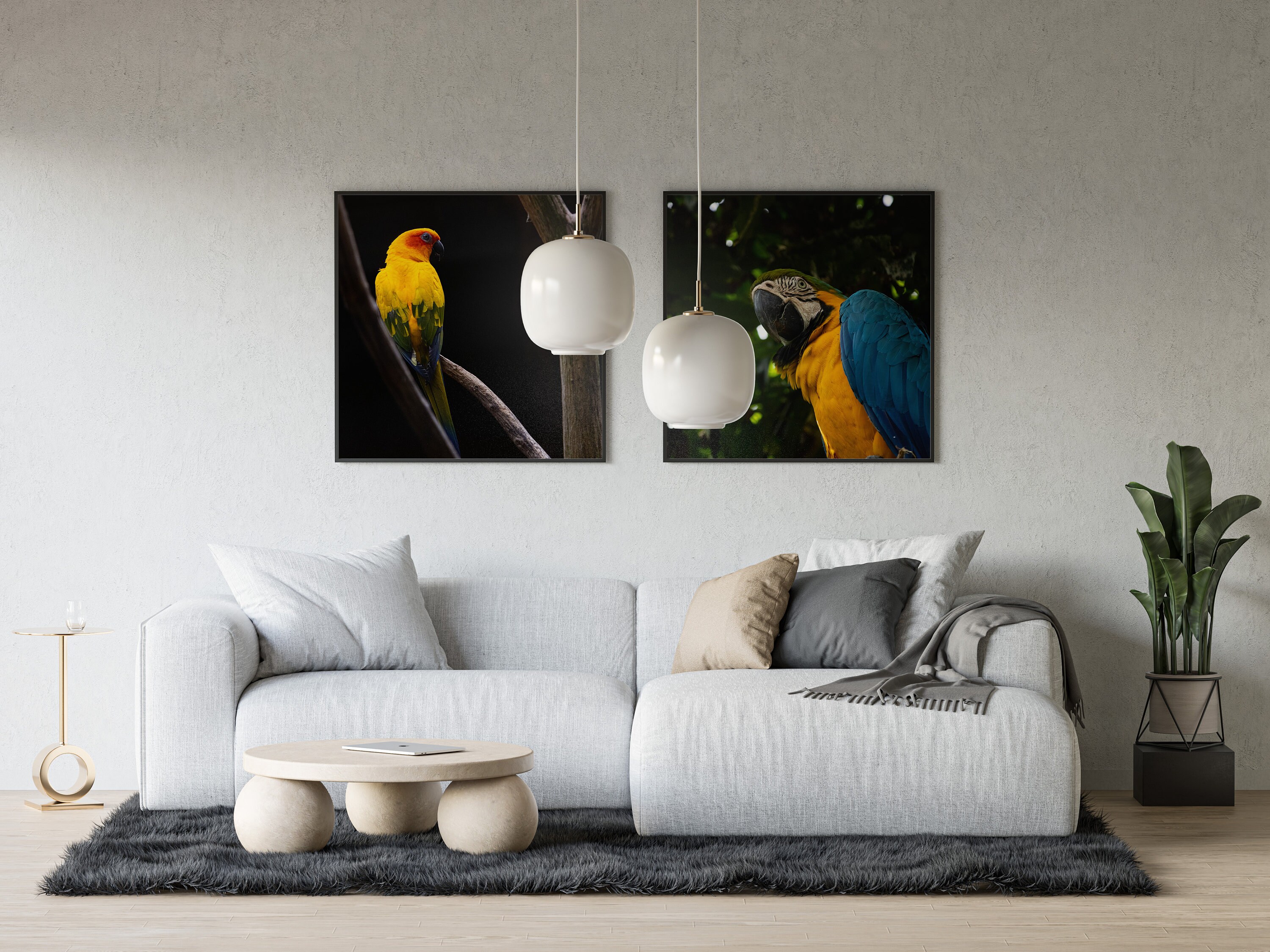 Tirage - Double Perroquet