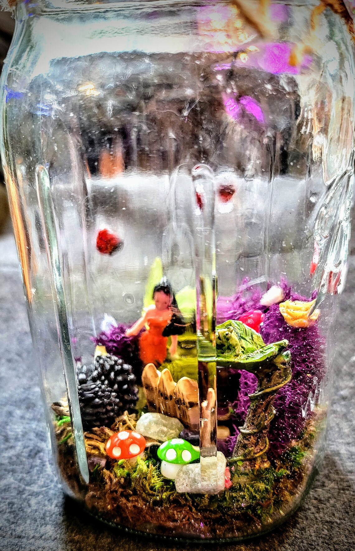 Fairy Garden Jar Terrarium Comes with free Crystal Etsy