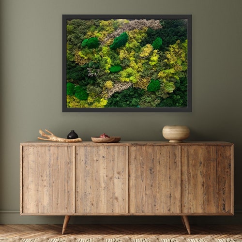 Moss Art Framed Preserved Moss Moss Wall Etsy Canada