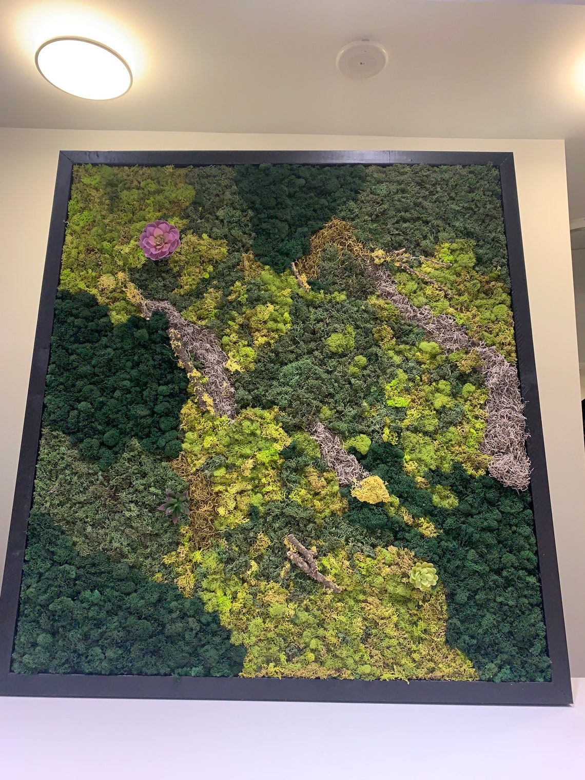 Moss Art Framed Preserved Moss Moss Wall Etsy