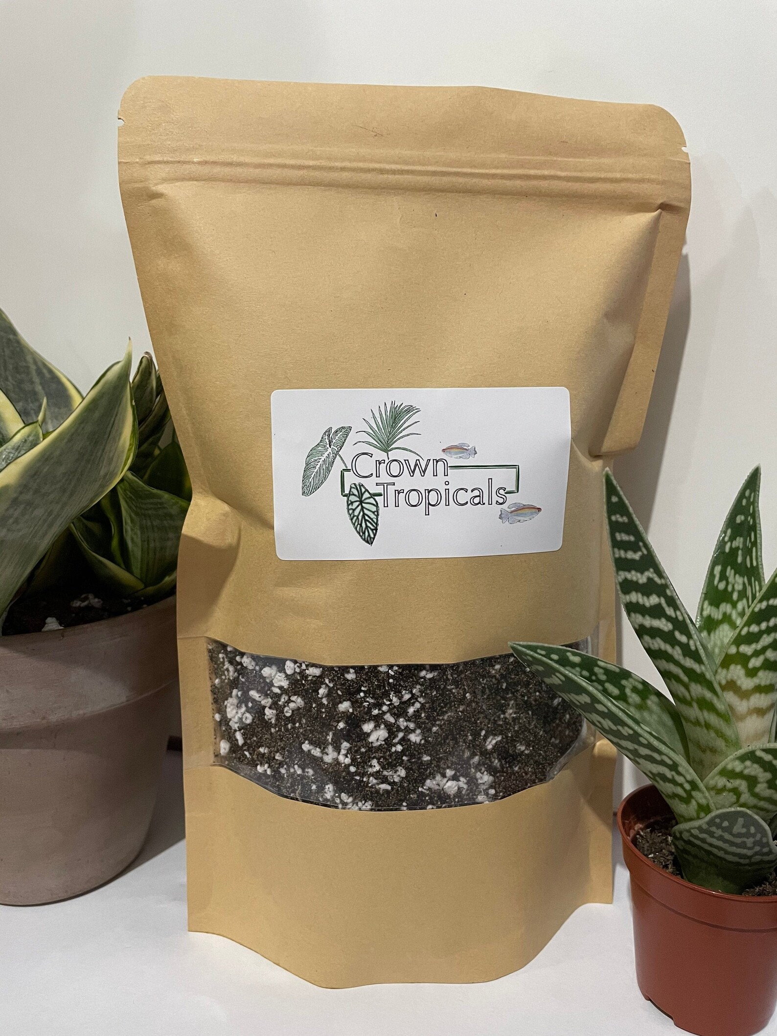 Cacti and Succulent Compost Mix Etsy