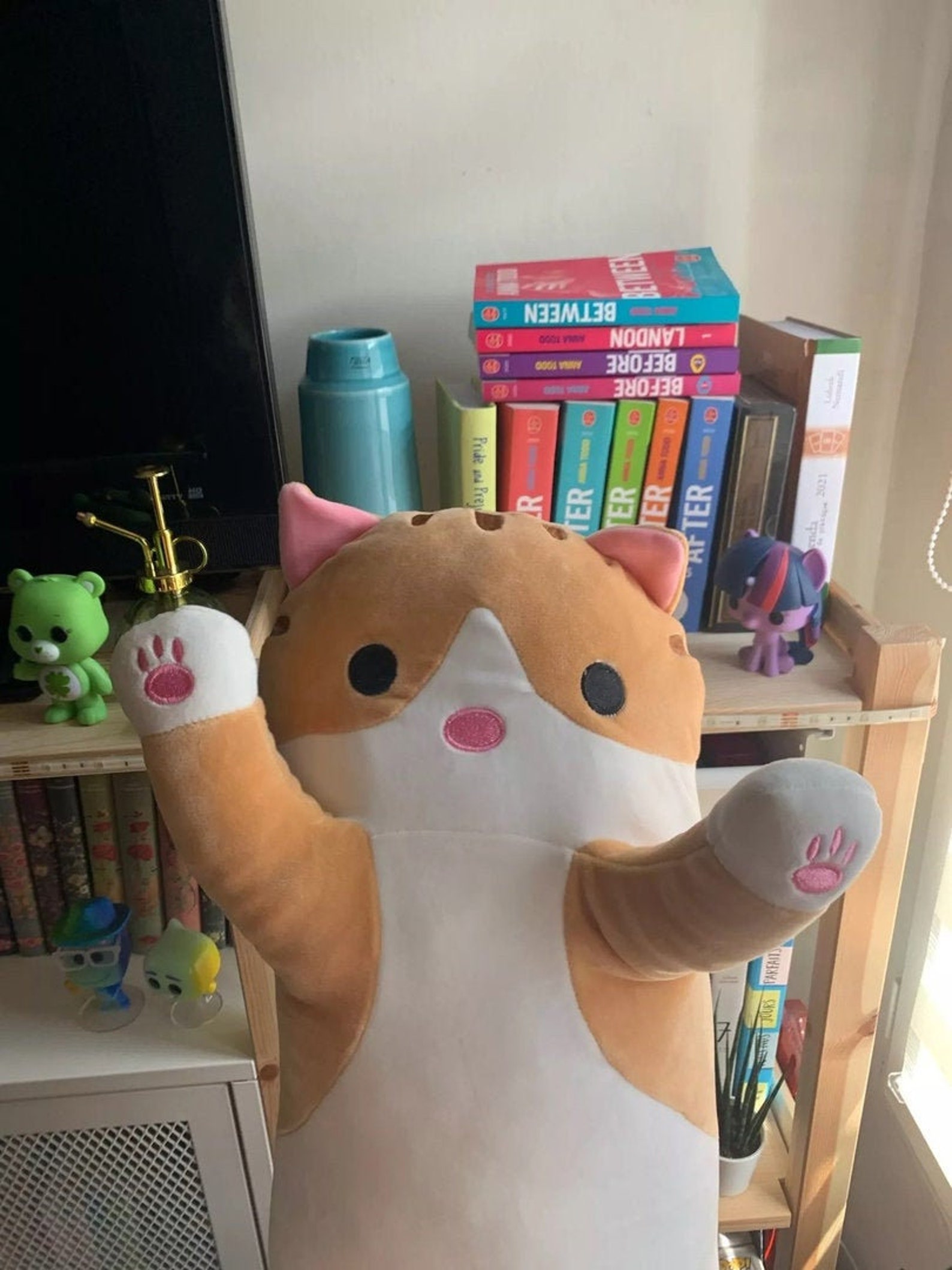 Long Cat Body Pillow Cat Plushie Long Cat Pillow Plush Etsy