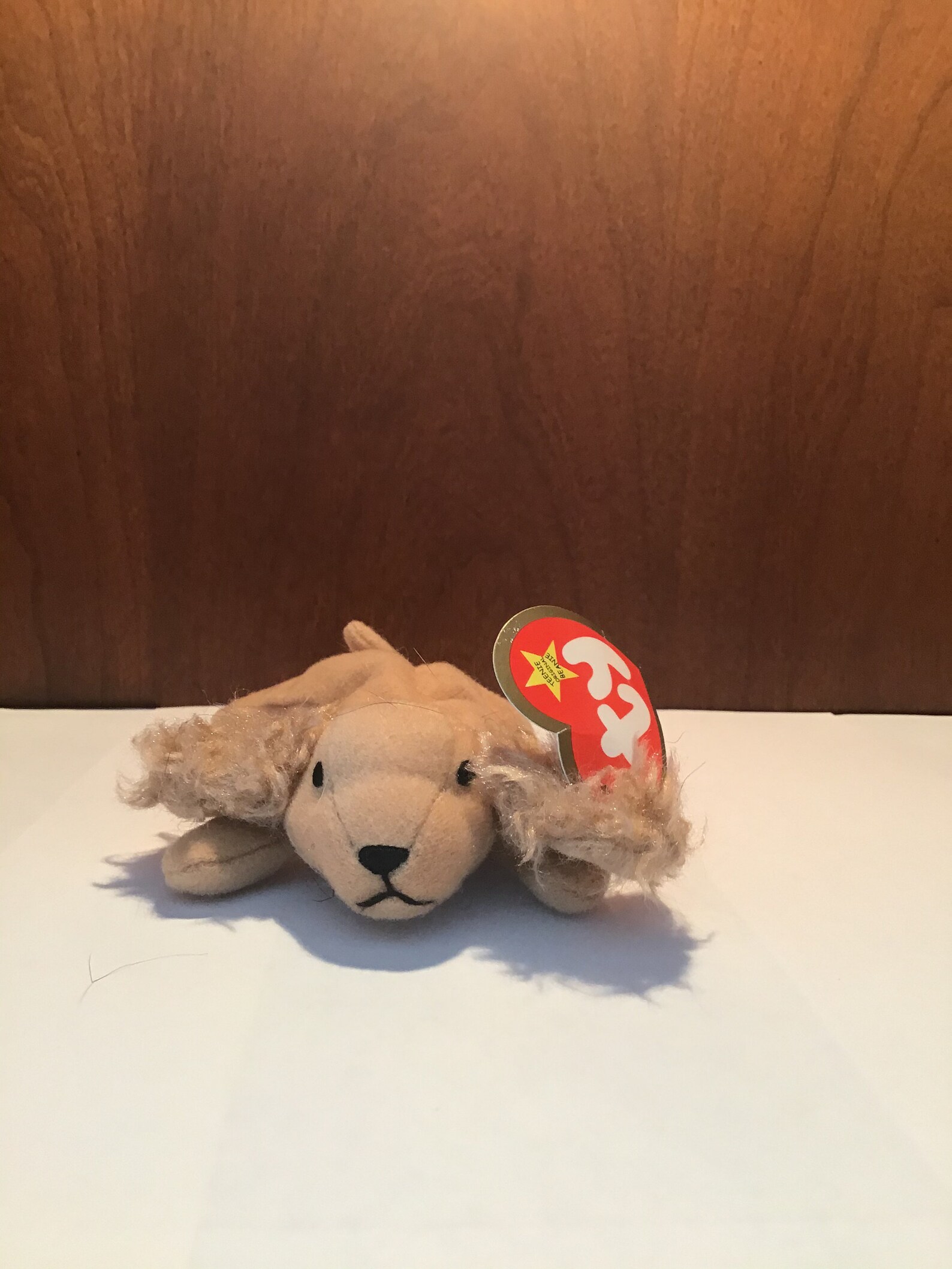 Spunky the Dog Beanie Baby Etsy