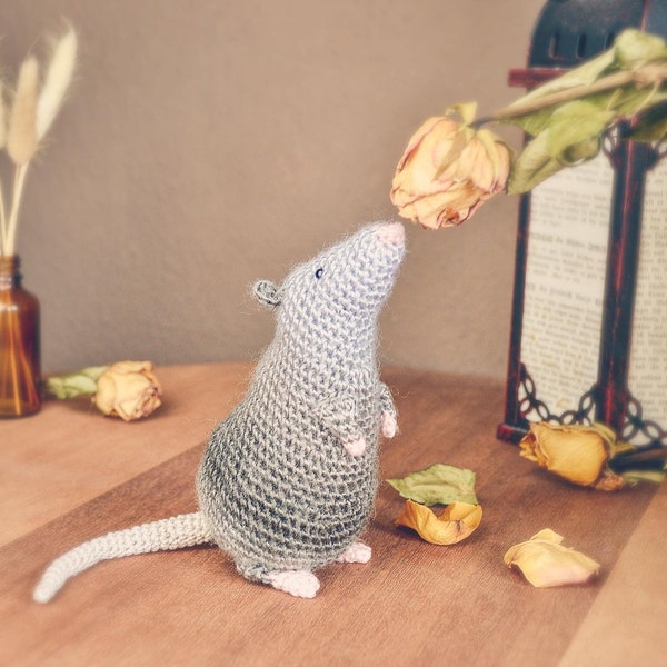 Patron au crochet Rat Rüdiger. Petite peluche rongeur. Amigurumi mignon. Instructions au crochet. Cadeau pour les amoureux des rats ou les enfants.