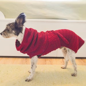 Könnte beinhalten: Ein kleiner Hund trägt einen roten Häkelpullover mit Kapuze. Der Pullover ist eine warme, gemütliche und stilvolle Option, um Ihr Haustier in den kälteren Monaten warm zu halten.