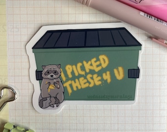 Raccoon Dumpster I Picked These For You Sticker