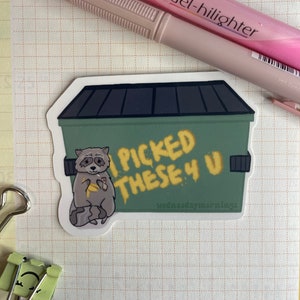 Raccoon Dumpster I Picked These For You Sticker