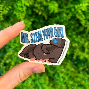 Mr. Steal Your Girl Sticker