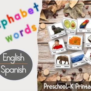 English & Spanish - alphabet Printable (Montessori) Bilingual bilingüe