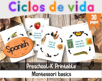 Life cycles Spanish - Ciclos de vida Imprimible en español  (Montessori)-